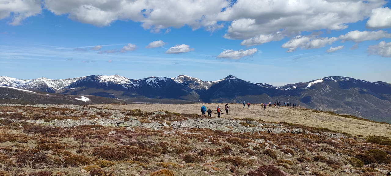 WhatsApp Image 2026-04-08 at 07.40.54 (5)